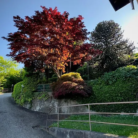 Apartamento Vista Lago, Giardino A Vista Isole Borromee E Golfo Borromeo - Stresaflat *