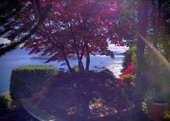 Vista Lago, Giardino A Vista Isole Borromee E Golfo Borromeo - Stresaflat *