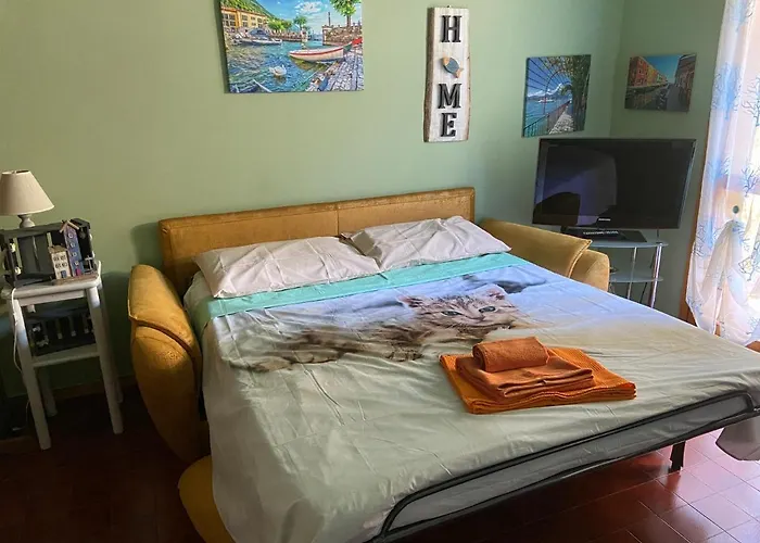 Vista Lago, Giardino A Vista Isole Borromee E Golfo Borromeo - Stresaflat *